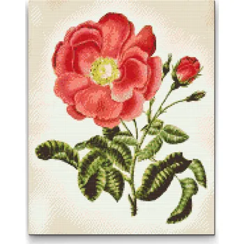 Diamantové malování Diamantové malování - Vintage růže Velikost: 30x40cm, Rámování: Pouze srolované plátno, Diamanty: Čtvercové