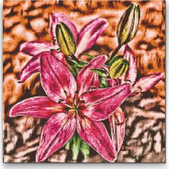 Diamantové malování Diamantové malování - Květ lilie Velikost: 50x50cm, Rámování: Pouze srolované plátno, Diamanty: Čtvercové
