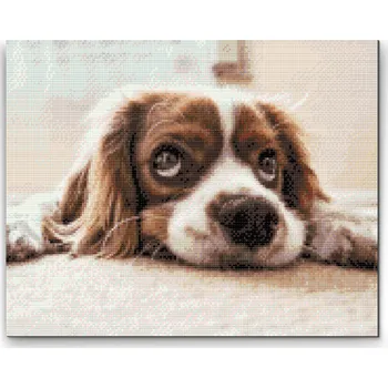 Diamantové malování Diamantové malování - Roztomilý psík Velikost: 30x40cm, Rámování: Pouze srolované plátno, Diamanty: Kulaté