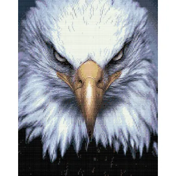 Diamantové malování Diamantové malování - Hlava orla Velikost: 40x50cm, Rámování: Pouze srolované plátno, Diamanty: Kulaté