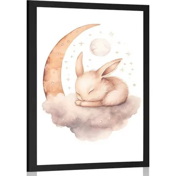 Plakát Dovido Plakát zasněný zajíček