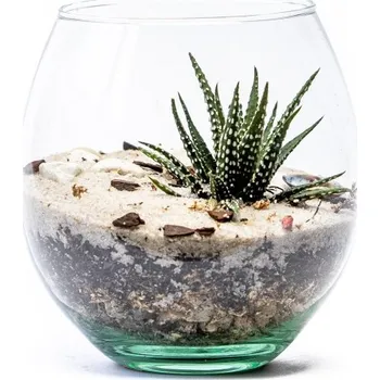 Váza Gardners Skleněná váza boule, průměr 13 cm - osázené suchomilně