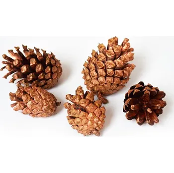 Vánoční dekorace Šišky borovice, měděné, 3 - 7 cm, bal. 1 kg