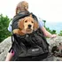 Psí batoh Kurgo G-Train Dog Carrier Backpack 53,34 x 33,02 x 25,4 cm