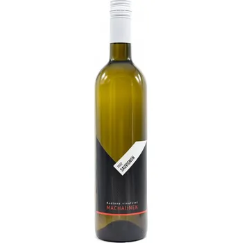 Sauvignon 2022, zemské víno, Vinařství Machalínek, suché