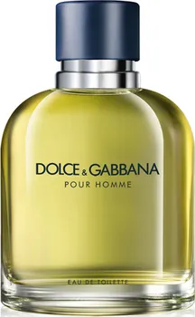 Pánský parfém Dolce & Gabbana Pour Homme 2012 M EDT