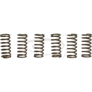 Sada spojkových pružin APRILIA 1000 ETV Capo Nord rok 01-09