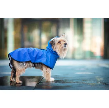 Obleček pro psa Vsepropejska Zika pláštěnka pro psa Barva: Modrá, Délka zad (cm): 26, Obvod hrudníku: 32 - 36 cm