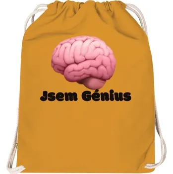 Tričko s potiskem Kde vzniká génialita! pánské