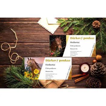 Dárková krabička EquTex Dárkový poukaz Hodnota: 300