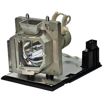 Lampa pro projektor Projektorová lampa Optoma BL-FU220D, bez modulu kompatibilní