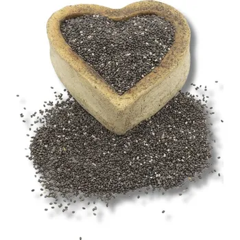 FITBOY Chia semínka BIO 500g 500g