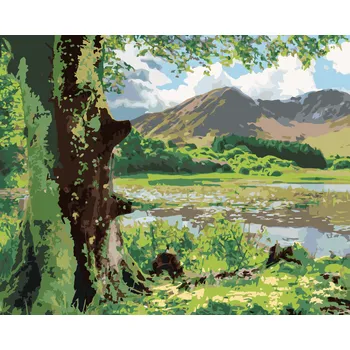 ZUTY Malování podle čísel - PŘÍRODA A HORY, IRSKO (TED DAVIS) Rozměr: 40x50 cm, Rámování: bez rámu a bez vypnutí plátna
