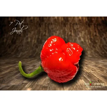 Semeno chilli-semena 7 Pot Jonah