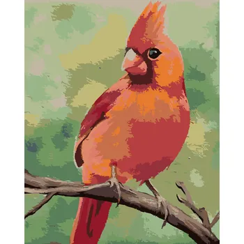 ZUTY Malování podle čísel - ČERVENÝ PTÁČEK 2 (MYROSLAVA VOLOSCHUK) Rozměr: 40x50 cm, Rámování: bez rámu a bez vypnutí plátna