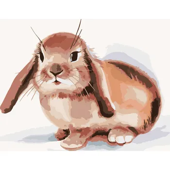 ZUTY Malování podle čísel - HNĚDÝ KRÁLÍK NA BÍLÉM POZADÍ Rozměr: 40x50 cm, Rámování: bez rámu a bez vypnutí plátna