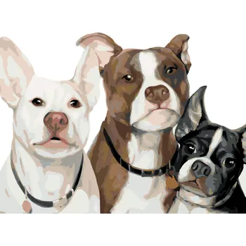 ZUTY Malování podle čísel - PSÍ RODINKA (MYROSLAVA VOLOSCHUK) Rozměr: 40x50 cm, Rámování: bez rámu a bez vypnutí plátna