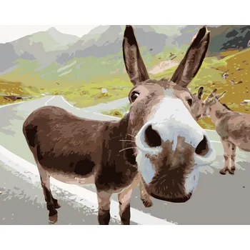 ZUTY Malování podle čísel - OSEL NA SILNICI Rozměr: 40x50 cm, Rámování: bez rámu a bez vypnutí plátna