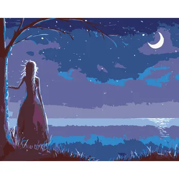 ZUTY Malování podle čísel - PRINCEZNA DÍVAJÍCÍ SE NA MĚSÍC Rozměr: 40x50 cm, Rámování: vypnuté plátno na rám