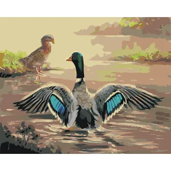 ZUTY Malování podle čísel - KACHNA S ROZTAŽENÝMI KŘÍDLY (D. RUSTY RUST) Rozměr: 40x50 cm, Rámování: vypnuté plátno na rám
