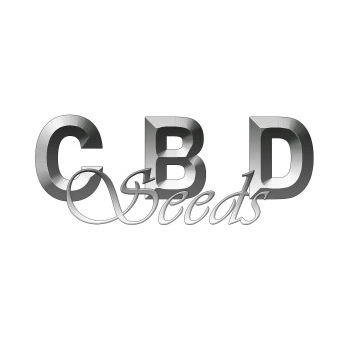 Semeno CBD Seeds - Auto Northern 1 ks