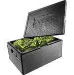 Termobox Standard GN 1/1 20l
