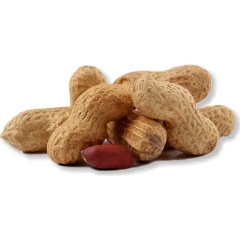 Krmivo pro ptáka Avicentra buráky neloupané 0,5 kg (rozváženo)