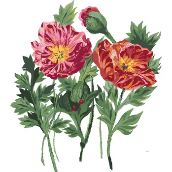 ZUTY Malování podle čísel - VLČÍ MÁKY (ALEXANDRIA GILBERT) Rozměr: 40x50 cm, Rámování: bez rámu a bez vypnutí plátna