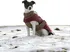 Obleček pro psa Kerbl Obleček Royal Pets červený/hnědý