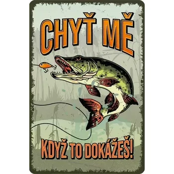 Plechová cedule Plechová cedule: Chyť mě když to dokážeš