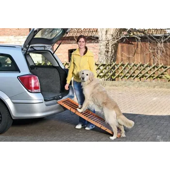 Schody a rampa pro psa Karlie Dog Ramp 120 x 30 x 6 cm