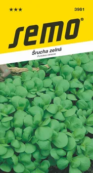 Semeno SEMO Šrucha Green Purslane 0,4 g 