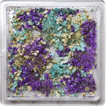 DENATO s.r.o. Sušené květy 16