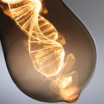 Paulmann LED žárovka E27 3,5W Helix 1 800K ST64 zlatá