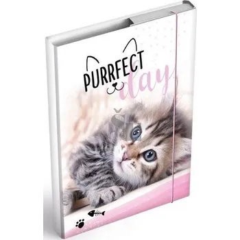 MFP Desky na sešity box A5, kočka