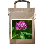 Jetel luční Slavín 1 kg