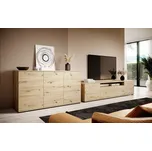 Obývací sestava 3D Log dub artisan