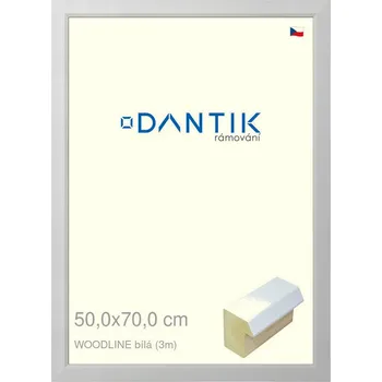 Rám na obraz DANTIK rámeček 50x70 | WOODLINE bílá (Plexi Čiré) (Vyrobeno s láskou u nás v DANTIKU)