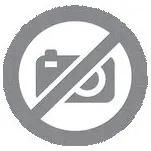 Země trvá - Stewart, George R.