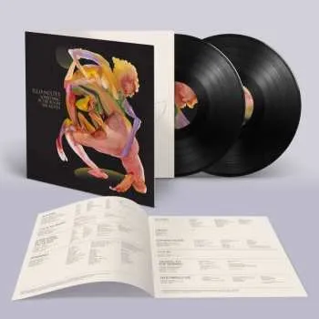 Hudba 2LP Julia Holter: Something In The Room She Moves 2024 Insert Gatefold Download Code Vinyl