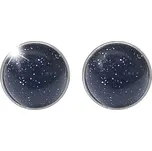 JSB bijoux s.r.o. Stříbrné náušnice puzety s pravým kamenem Black Onyx (Stříbro 925/1000)