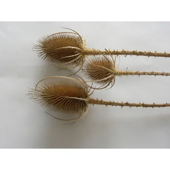 Výtvárné potřeby soukenická štětka