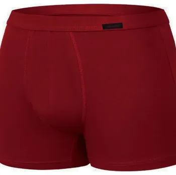 Pánské spodní prádlo Pánské boxerky mini AUTHENTIC 223 claret XL