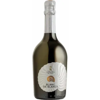 Terre di Castelnuovo Blanc de Blancs Spumante Extra Dry 0,75l