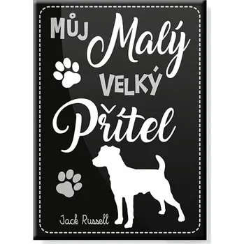 Dekorativní magnet Nekupto Magnet se psem - Jack Russell