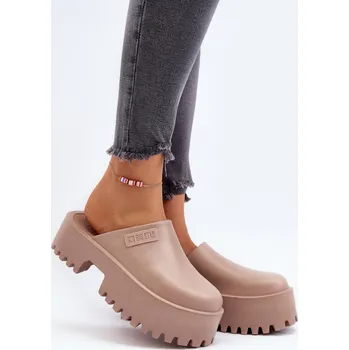 Dámské žabky Pantofle model 194120 Step in style 40