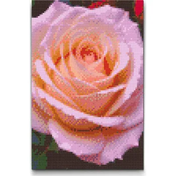 Diamantové malování Diamantové malování - Květ růže Velikost: 40x60cm, Rámování: Pouze srolované plátno, Diamanty: Čtvercové