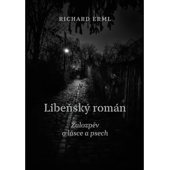 Kniha Libeňský román