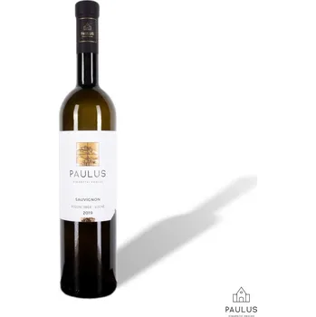 Sauvignon 2023, pozdní sběr, Paulus, suché