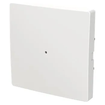 vypínač a zásuvka ABB Zoni Kryt 1násobný bez potisku matná bílá 6220T-A01000 240